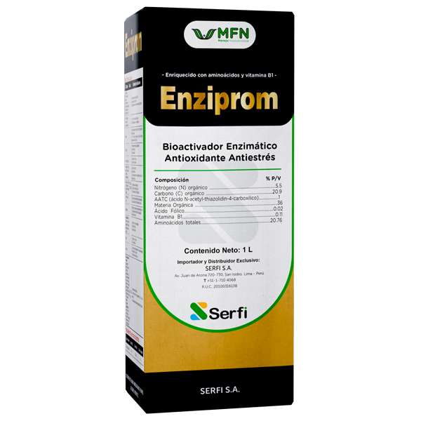 Enziprom-2025-Oct-vf-web