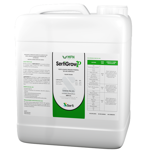 Serfigrow-P-2025-vf-FINAL-web